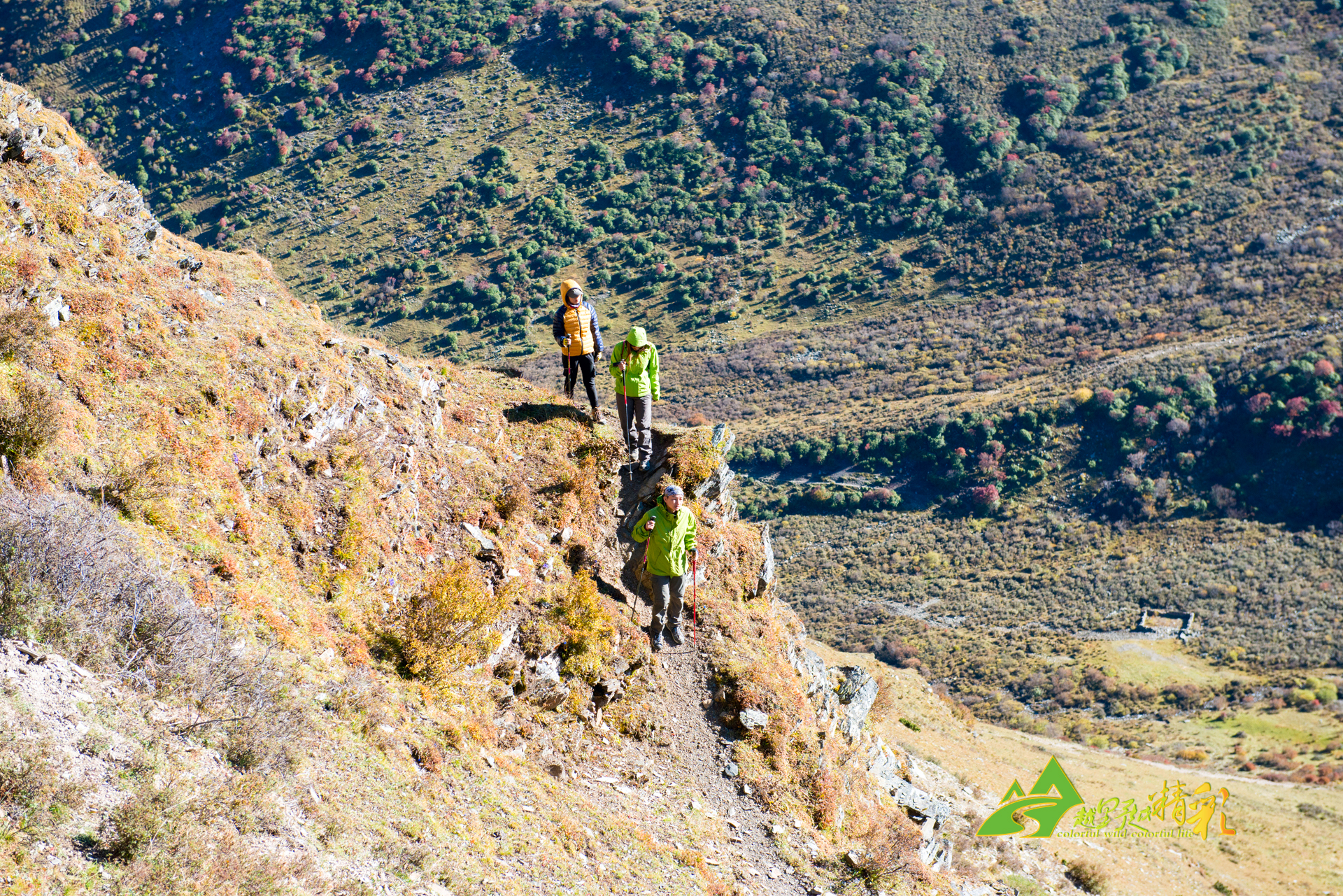 進攻壓制了 進攻壓制了