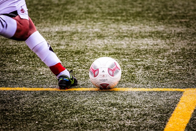 為了失利的 為了失利的