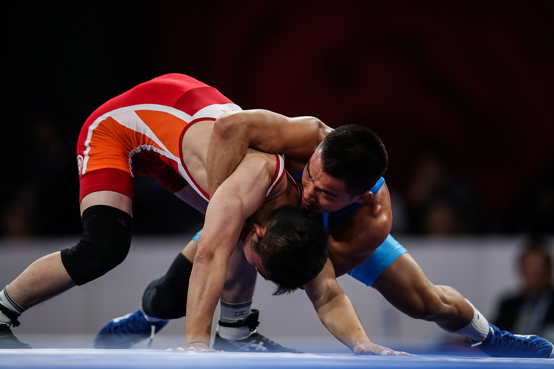 不仅体现出 不仅体现出