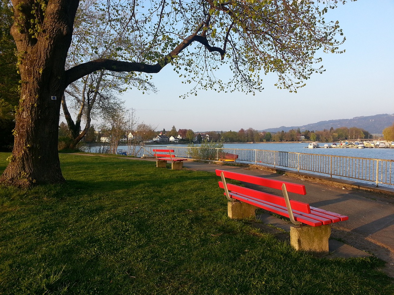 结合的独特 结合的独特