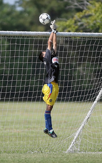 的遗憾感 的遗憾感